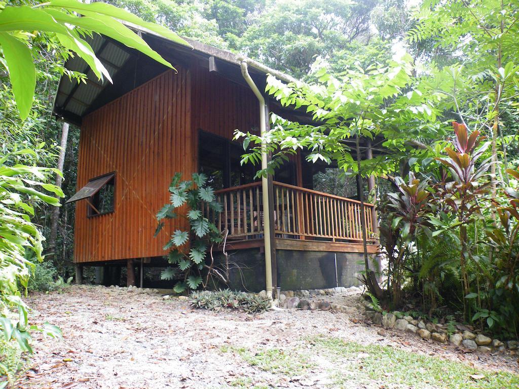 Epiphyte B & B Cow Bay Room photo